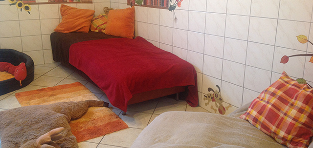 Hundeschule und Tierpension Alpha