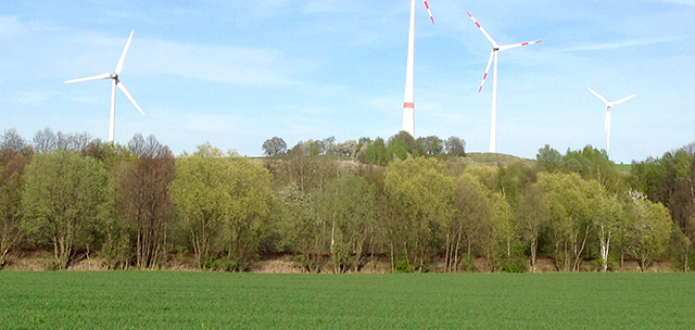 Hundeschule und Tierpension Alpha