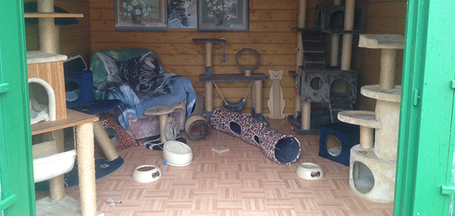 Hundeschule und Tierpension Alpha