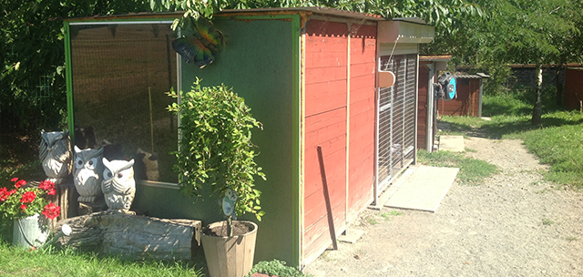 Hundeschule und Tierpension Alpha